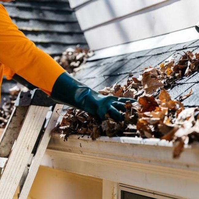 gutter cleaning