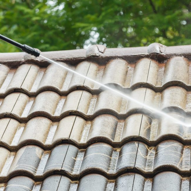 roof-cleaning